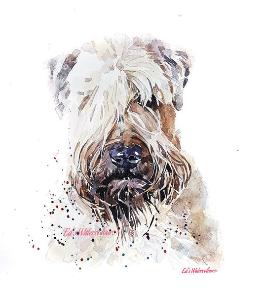Wheaten Terrier - I spy with my little eye" Print Watercolour