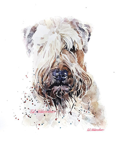 Wheaten Terrier - I spy with my little eye" Print Watercolour