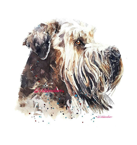 Wheaten Terrier - into the light " Print Watercolour