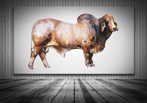 Brahman Bull " Canvas Print Watercolour