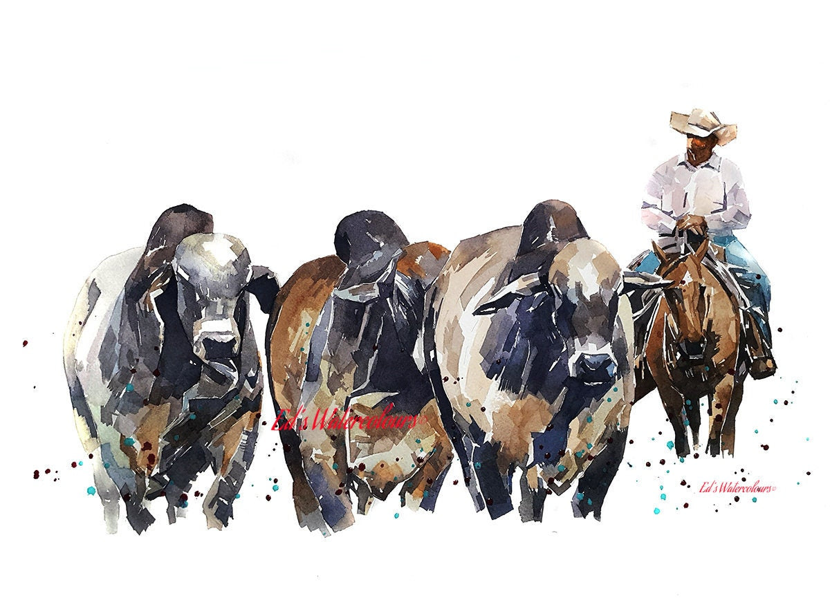 Brahman Cattle and Cowboy ." Print Watercolour,Brahman art,Brahman print, Brahman watercolour,Brahman painting