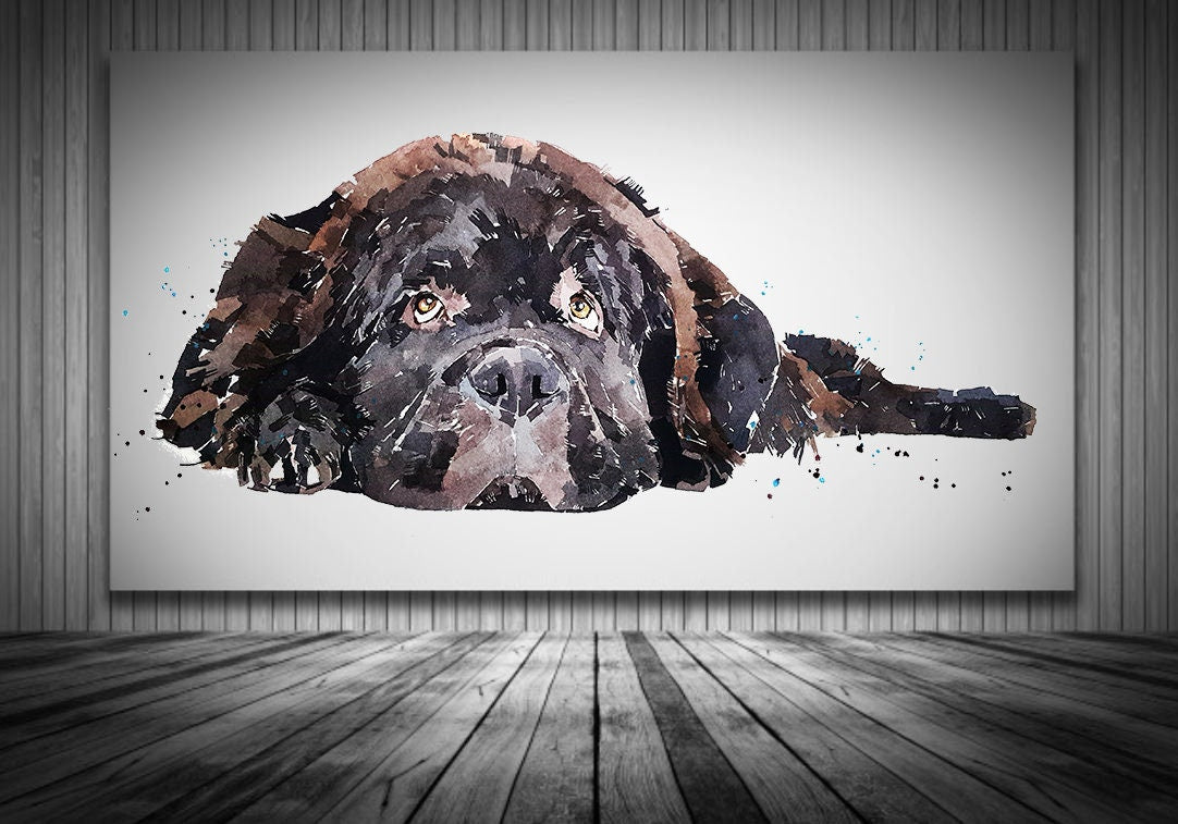 Newfoundland Dog Passed Out " Canvas Print Watercolour,Newfoundland Canvas, Newfoundland Dog Canvas art,Newfoundland Dog Canvas wall hanging