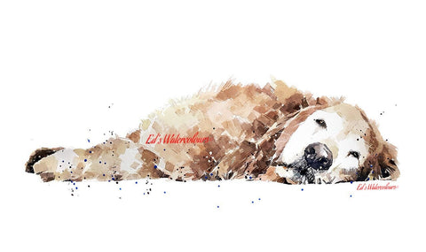 Golden Retriever Passed out" Print Watercolour