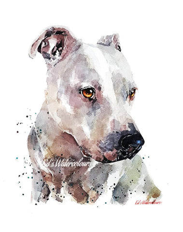 White Staffordshire Bull Terrier - Watercolour Print.White Staffy art,White Staffy print,White Staffie art print,White Staffie watercolour