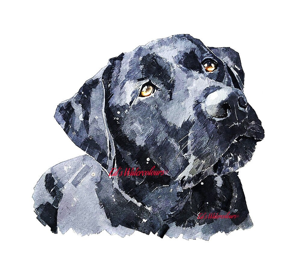 Whoever said "Faithless is he that says farewell when the road darkens" was not talking about a Labrador  "  Print Watercolour