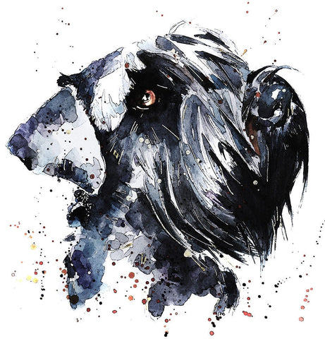 All Seeing Giant Schnauzer " Print Watercolour.Schnauzer art,Schnauzer painting,Schnauzer print,Schnauzer wall art,Schnauzer watercolour