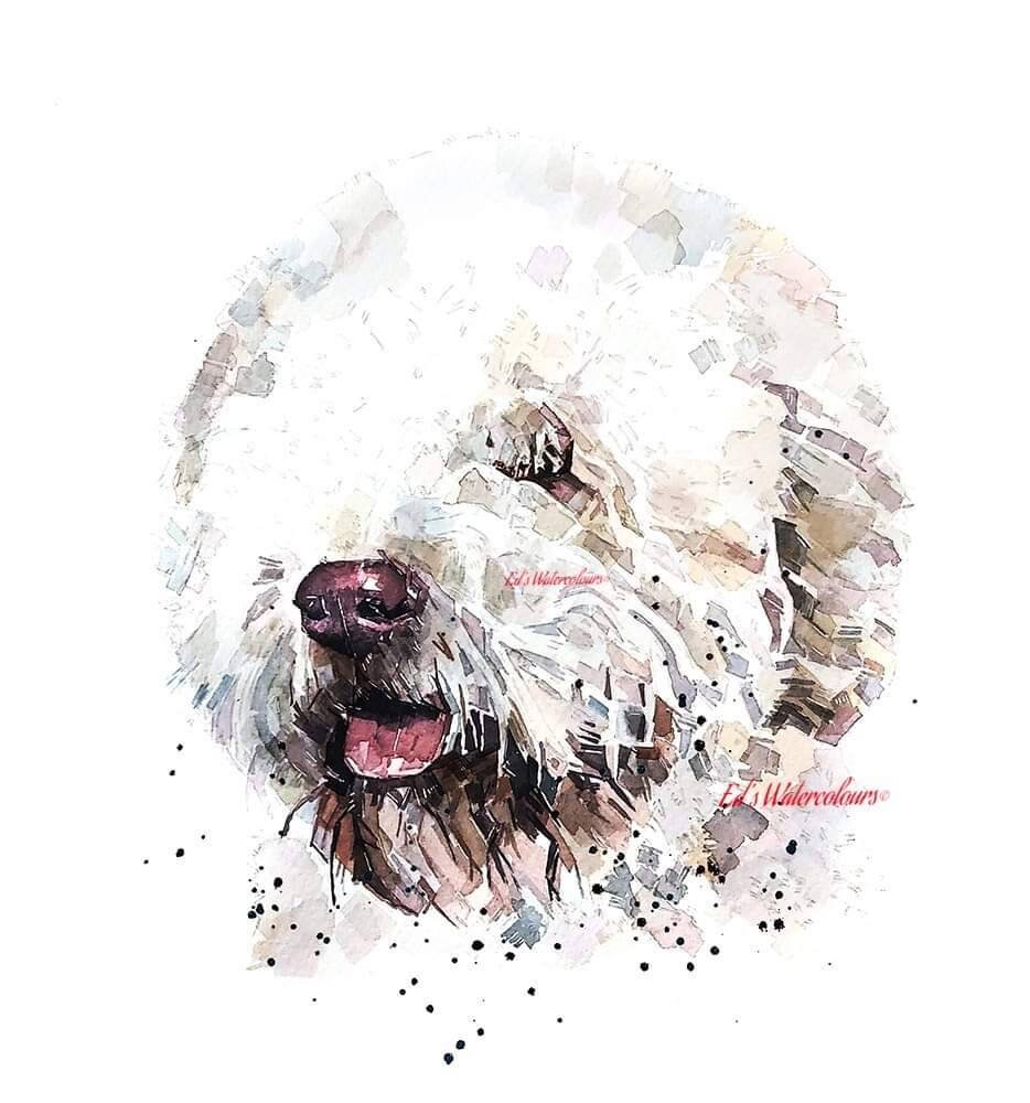 Lagotto Romagnolo " Print Watercolour