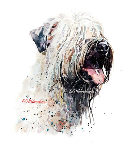 Wheaten Terrier - Got my eye on you " Print Watercolour.Wheaten Terrier Watercolour,Wheaten Terrier Print,Wheaten Terrier Watercolor Art