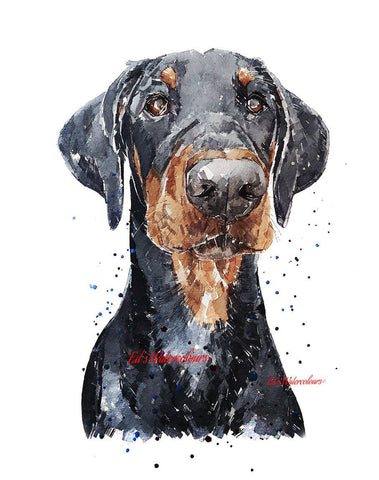 Doberman Pensive" Print Watercolour.Doberman art,Doberman print,Doberman watercolour,Doberman wall art,Doberman decor.
