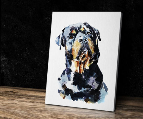 Rottweiler "Canvas Print Watercolour. Rottweiler wall canvas,Rottweiler canvas wall art Decor print,Rottweiler home decor