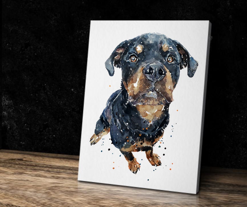 Rottweiler Impatiently Waiting"Canvas Print Watercolour. Rottweiler wall canvas,Rottweiler canvas wall art Decor print,Rottweiler home decor