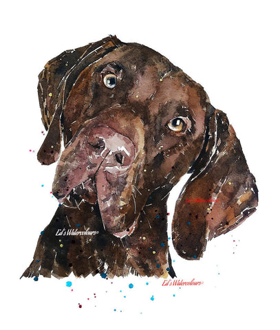 That German Shorthaired Pointer Look - GSP Print Watercolour,German Shorthaired Pointer,GSP print, GSP Art