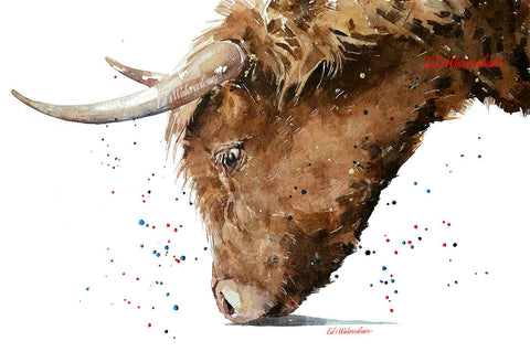 Highland Cow "The Grazer" -Print Watercolour.Highland Cow art, Highland Cow painting,Highland Cow watercolour painting,Scottish Highland Cow