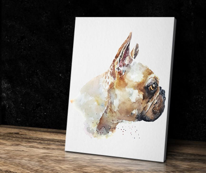 Eye on the prize - French bulldog Canvas Print. Print Watercolour, frenchie watercolour, frenchie art print, frenchie wall hanging canvas