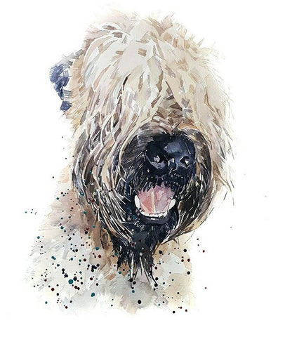 Wheaten Terrier I can still see right through you-Watercolour Print - Wheaten Terrier art,Wheaten Terrier wall art