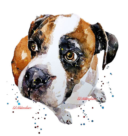 German Boxer Dog - A gentle Soul - Print Watercolour,Boxer dog Print,Boxer dog Watercolour,boxer dog art,Boxer dog decor,Boxer dog wall art