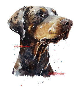 Brown Doberman" Print Watercolour. Brown Doberman art,Doberman print,Chocolate Doberman watercolour,Doberman wall art,Doberman decor.