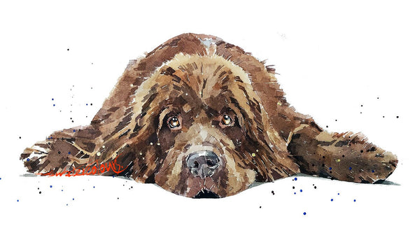 Brown Newfoundland dog - Print Watercolour. Newfie dog art, Newfoundland dog print, Newfoundland dog watercolour, Newfoundland dog wall art