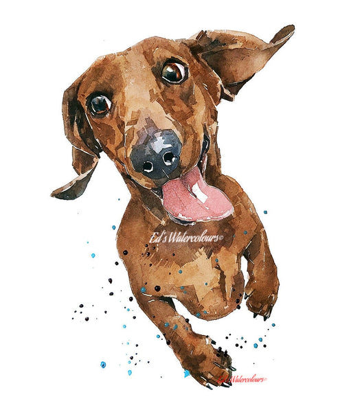 Flying Sausage Dog " Print Watercolour.Dachshund art,Dachshund print, Dachshund watercolor,Doxie watercolour, Sausage dog art print