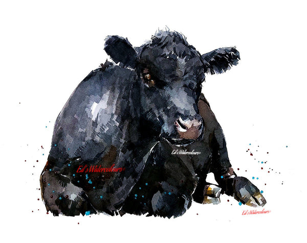 Aberdeen Angus Cow - Watercolour.Aberdeen Angus Cow Art,Aberdeen Angus Cow watercolour,Angus Cow wall art