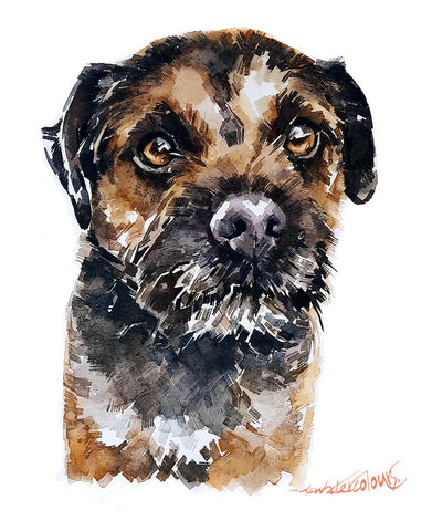 Border Terrier  Print Watercolour. Border Terrier art,Border Terrier print,Border Terrier Watercolour,Border Terrier  Wall Decor