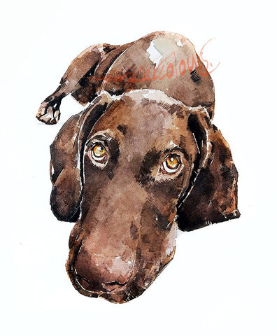 German Shorthaired Pointer Soulful - GSP Print Watercolour,German Shorthaired Pointer,GSP print, GSP Art