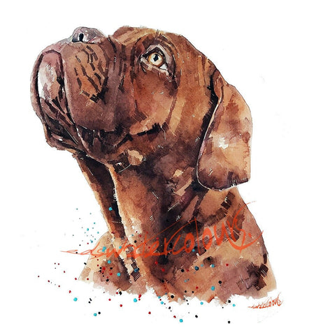 Dogue de Bordeaux Waiting " Print Watercolour.dogue de bordeaux art,dogue de bordeaux print,DDB print,DDB watercolour