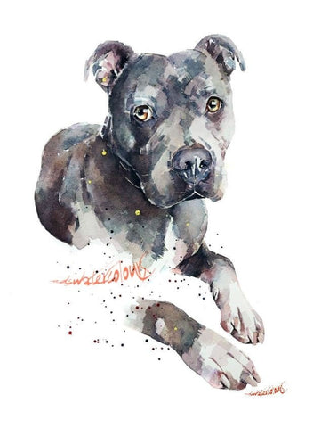Blue Staffordshire Bull Terrier - Watercolour Print.Blue Staffy art,Blue Staffy print,Blue Staffie art print,Blue Staffie watercolour