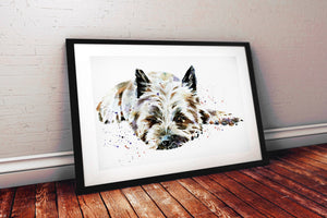 Relax "The Cairn way" Print Watercolour.Cairn Terrier art,Cairn Terrier print,Cairn Terrier watercolour print.Cairn Terrier dog art
