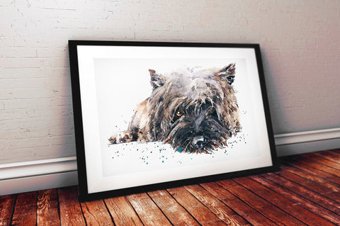 Cairn Terrier Passed Out " Print Watercolour. Cairn Terrier art,Cairn Terrier print,Cairn Terrier watercolour print.Cairn Terrier dog art