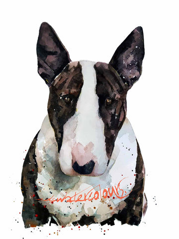 English Bull Terrier II - Watercolour Print.Bull Terrier art,Bull Terrier print,Bull Terrier watercolour,Bull Terrier wall art