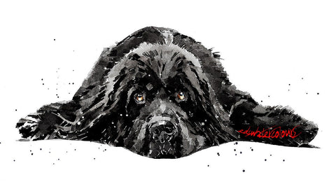 Black Newfoundland dog - Print Watercolour. Newfie dog art, Newfoundland dog print, Newfoundland dog watercolour, Newfoundland dog wall art