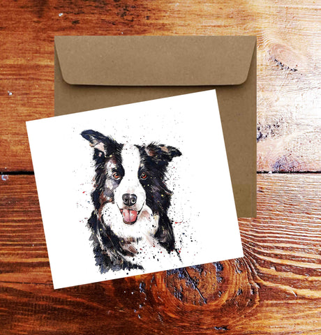 Border Collie Greeting/Note Card.Border Collie card,Border Collie  note card, Border Collie  greeting card,Border Collie Dog greeting card