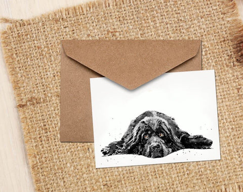 Newfoundland Dog II Greeting/Note Card.Newfie cards,Newfie note cards, Newfie greeting cards,Newfoundland Dog greeting card