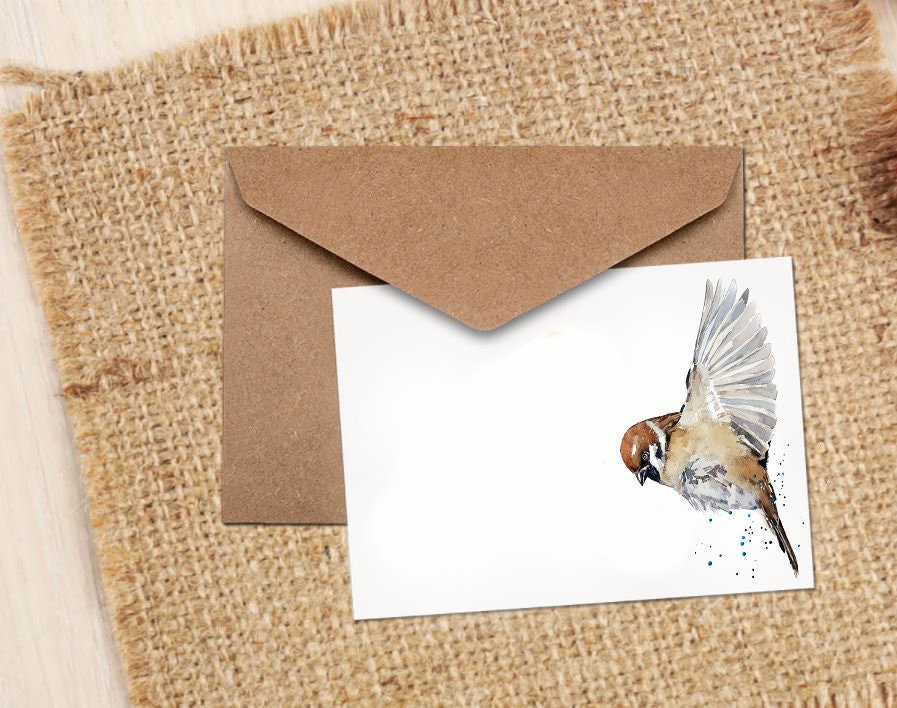 House Sparrow Greeting Card | Wildlife Gift | Edswatercolours
