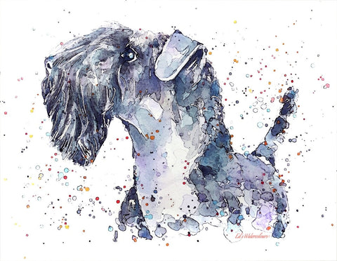 Kerry Blue - TRUE BLUE." Print Watercolour.Kerry blue terrier art,Kerry blue terrier print,Kerry blue terrier watercolour