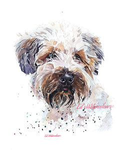 Wheaten Terrier Colour Explosion - The Thinker" Print Watercolour
