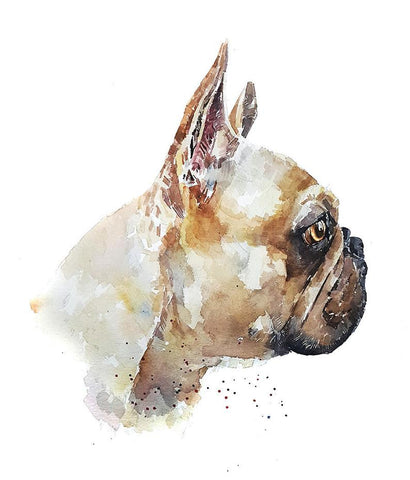 Eye on the prize - French bulldog. Print Watercolour, frenchie watercolour, frenchie art print, frenchie wall hanging