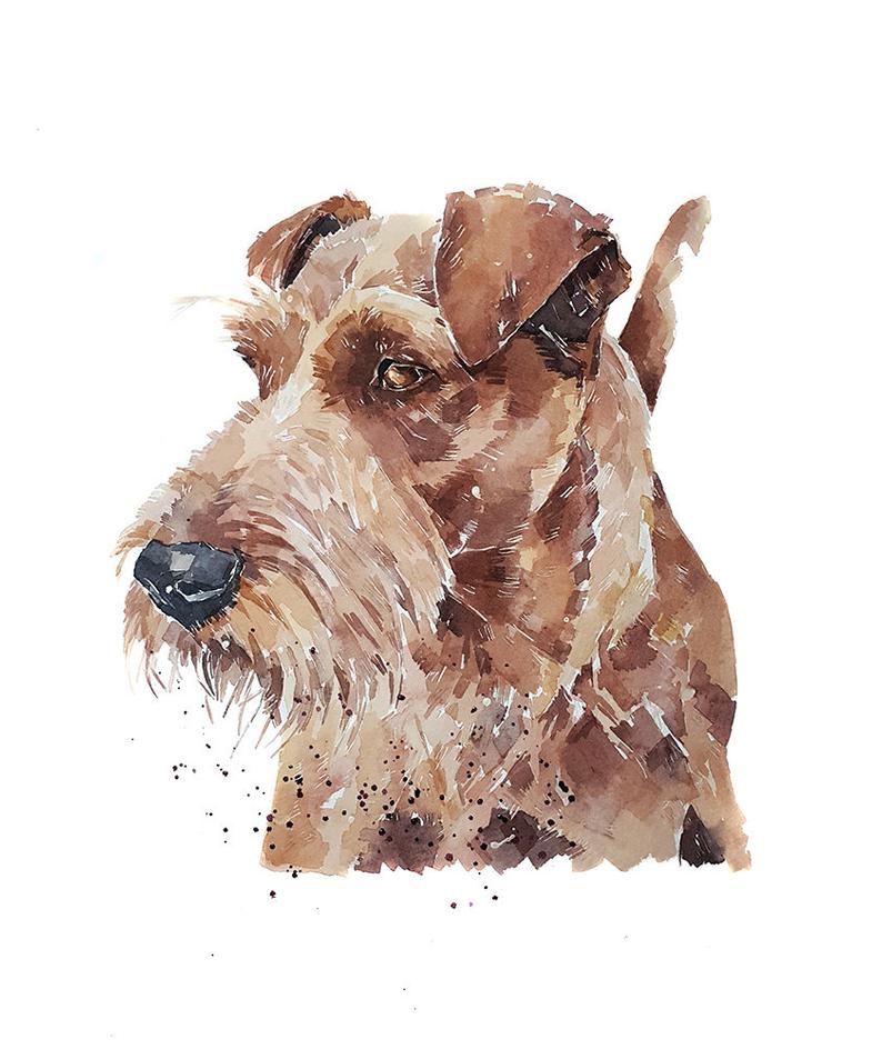Irish Terrier Regal - Print Watercolour.Irish Terrier Art,Irish Terrier watercolor,Irish Terrier Wall hanging,Irish Terrier decor