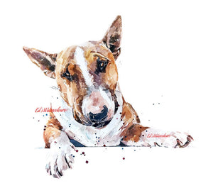Red and White English Bull Terrier - Watercolour Print.Bull Terrier art,Bull Terrier print,Bull Terrier watercolour,Bull Terrier wall art