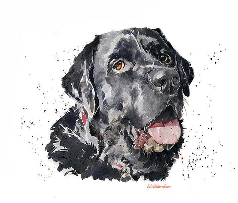 Labrador "Happy go lucky" Print Watercolour.Labrador watercolor, Labrador art print, Labrador wall art, Labrador home decor
