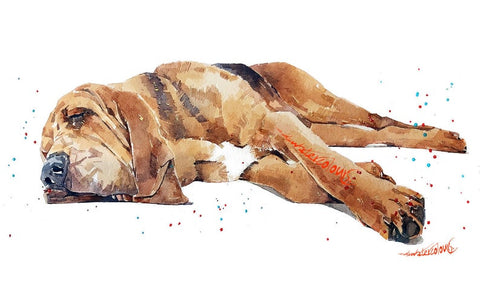 Bloodhound Passed Out " Print Watercolour. Bloodhound art,Bloodhound print,Bloodhound watercolour,Bloodhound wall art,Bloodhound decor.