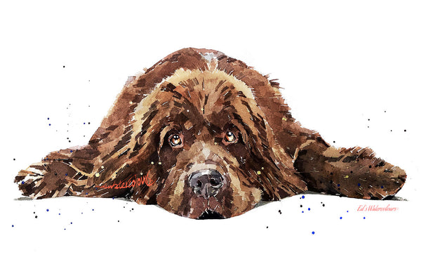 Brown Newfoundland Dog II" - Original Watercolour Art.Newfie Original Watercolour