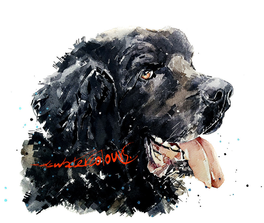 Newfoundland Dog II - Watercolour Original