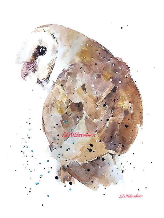 Barn Owl Watercolour Art Print | Bird Lover Gift | Edswatercolours