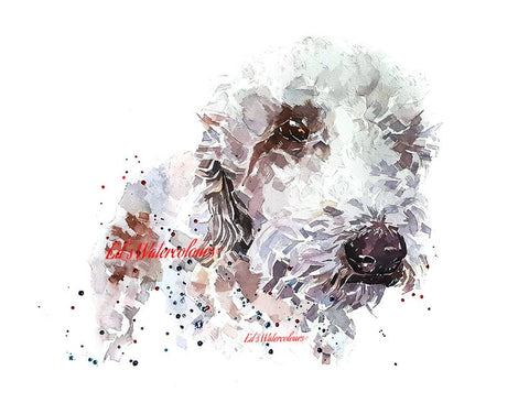 Bedlington Terrier - Watercolour Print.Bedlington Terrier art print,Bedlington Terrier watercolour,Bedlington Terrier wall art