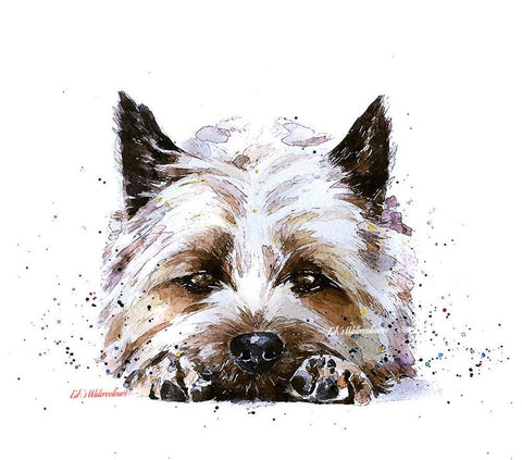 Cairn Terrier Reclined 2 " Print Watercolour. Cairn Terrier art,Cairn Terrier print,Cairn Terrier watercolour print.Cairn Terrier dog art