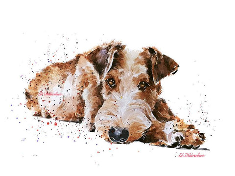 Irish Terrier Pomp" Print Watercolour.Irish Terrier Art,Irish Terrier watercolor,Irish Terrier Wall hanging,Irish Terrier decor