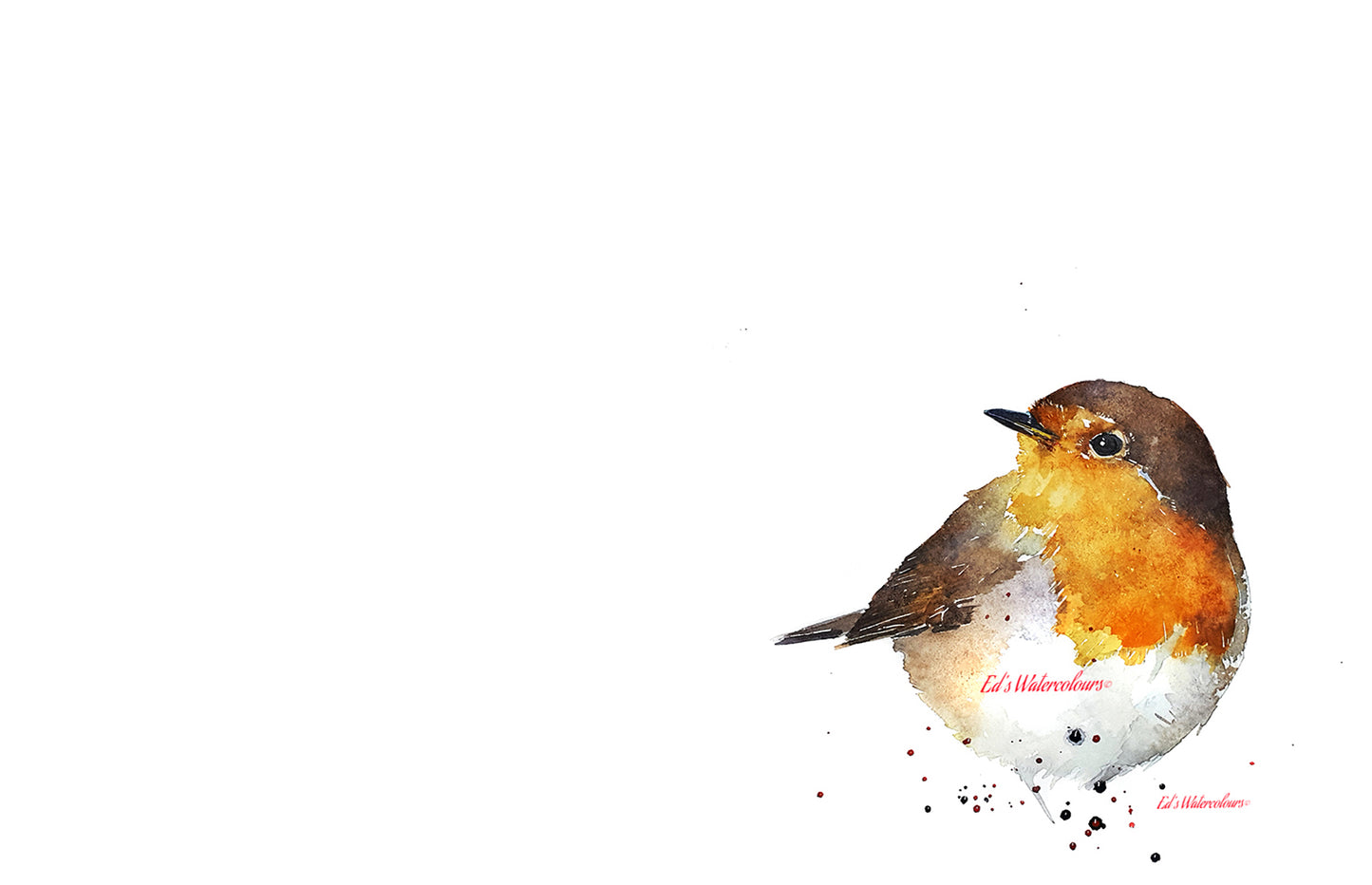 Robin Watercolour Art Print | Bird Lover Gift | Edswatercolours