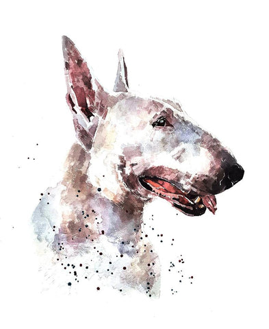 Bull Terrier White" Print Watercolour.Bull Terrier art,Bull Terrier print,Bull Terrier watercolour,Bull Terrier wall art